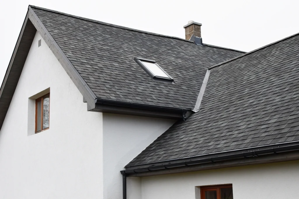 shingle roof skylight