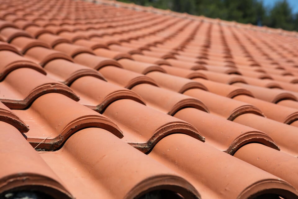 Close-up view of an expansive red clay tile roof with rows of curved tiles. The tiles are aligned in a repeating pattern. Background shows blurred greenery, suggesting a surrounding natural environment.