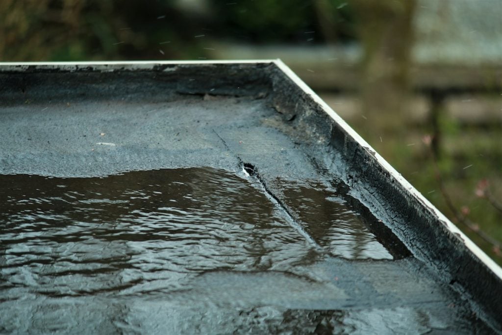 Close-up of a flat roof with pooling water on its surface, indicating poor drainage. The asphalt or tar surface appears slightly cracked, with greenery blurred in the background.
