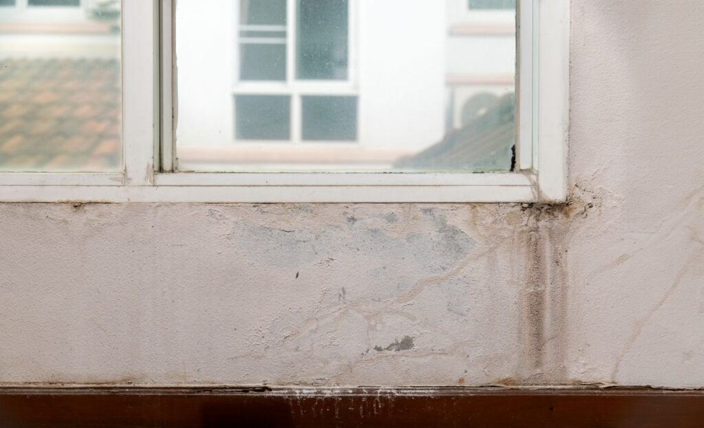 how long do windows last window white frame paint water damage