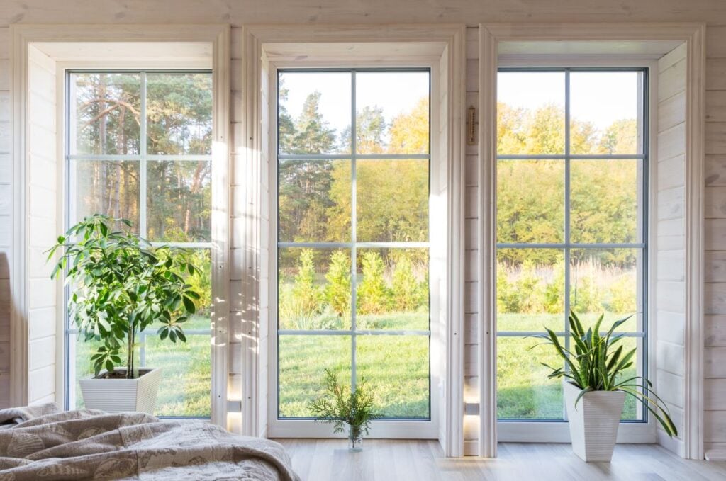 signs you need new windows huge square glass small plants