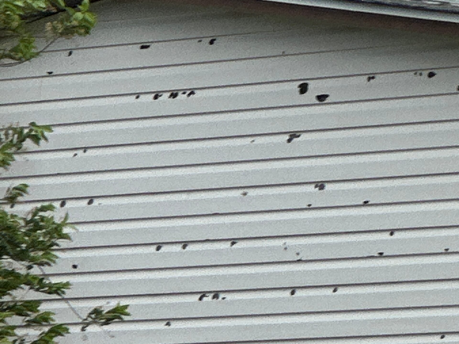 hail damage siding white siding with holes after hail storm