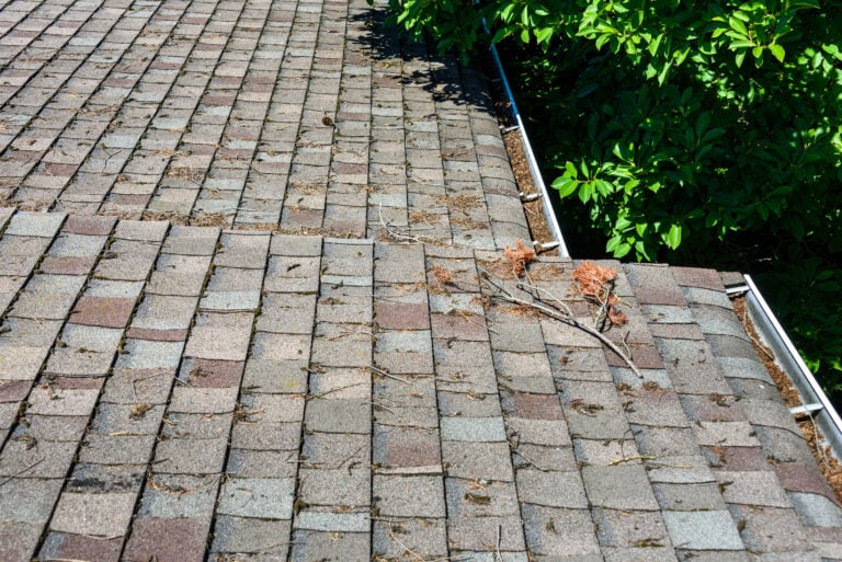 how to clean roof shingles dirty shingles roof with debris
