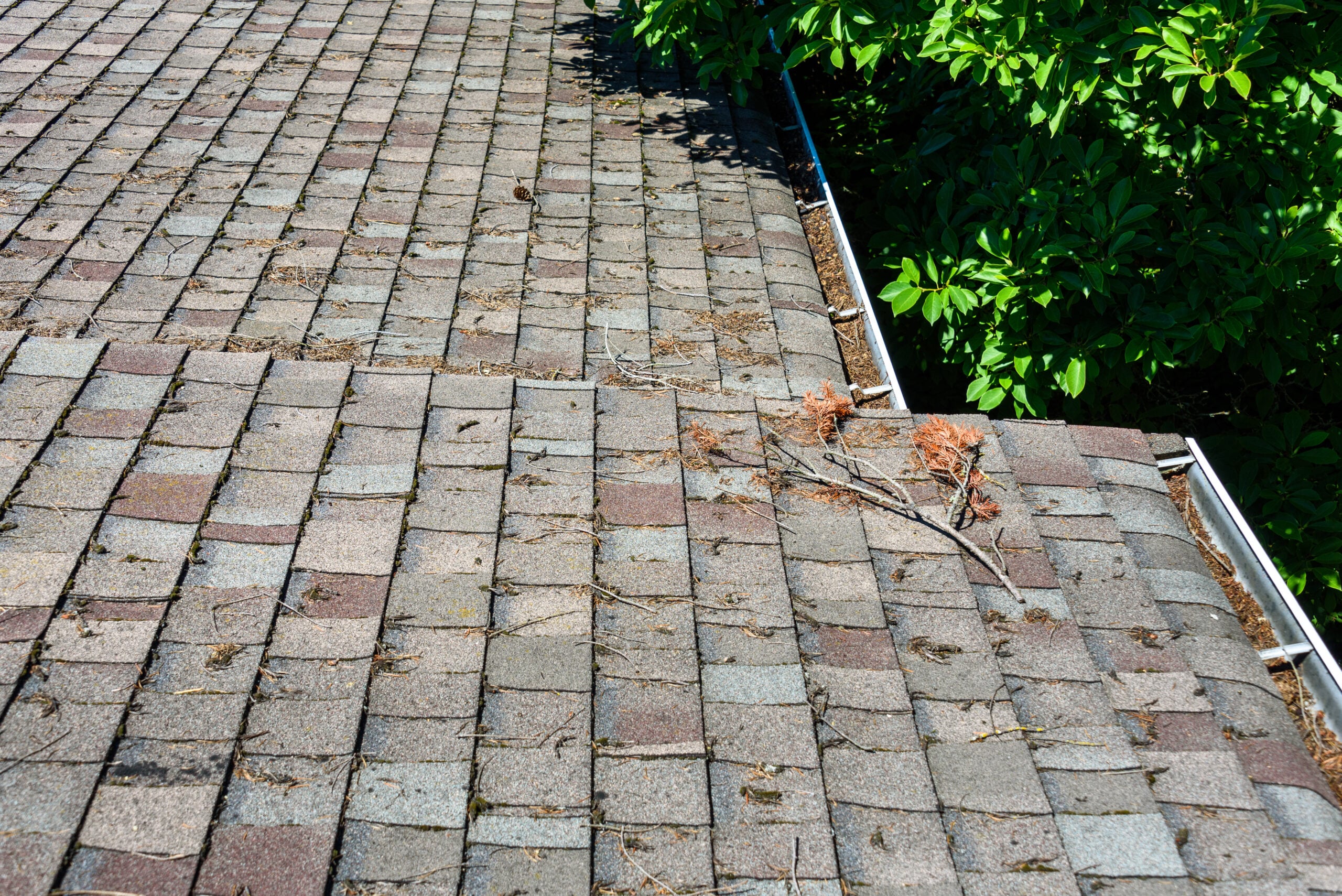 how to clean roof shingles dirty shingles roof with debris