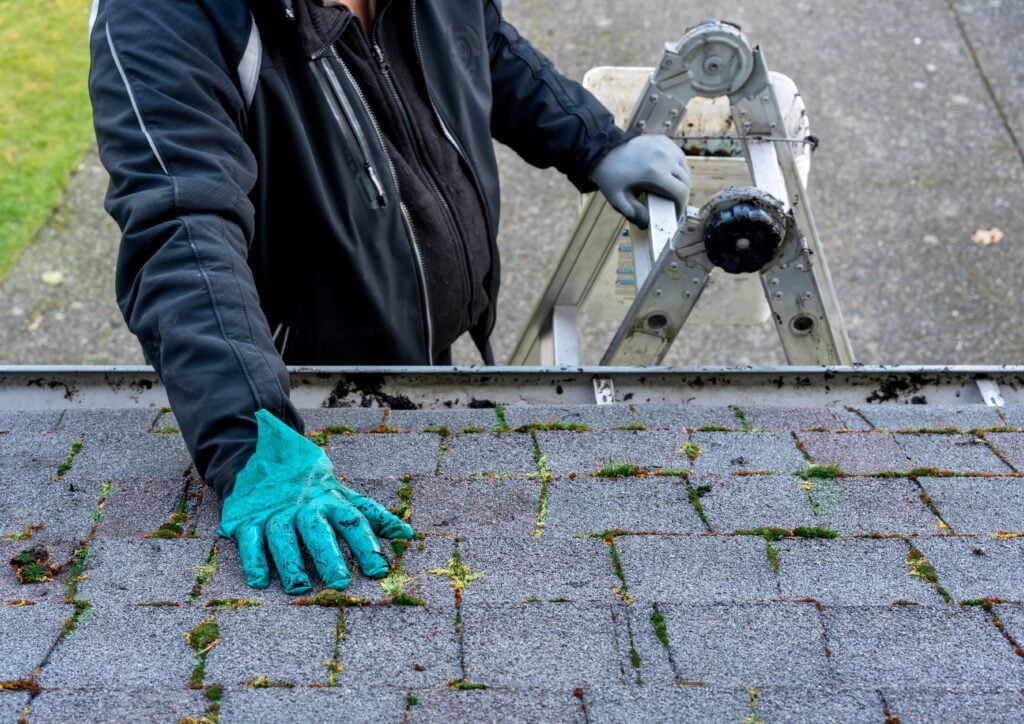 how to clean roof shingles man holding ladder and cleaning roof