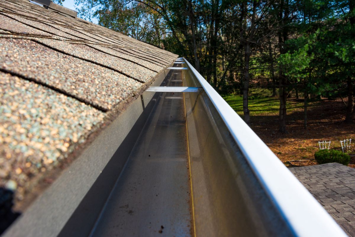 Cleaned gutters in front of the house