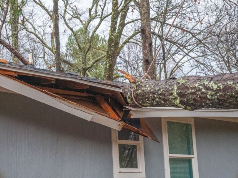 Storm damage tree on roof