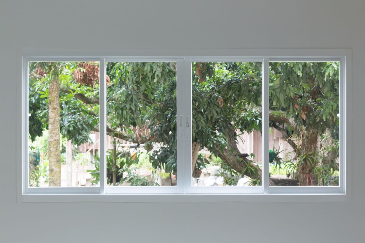 large picture window with a tree outside