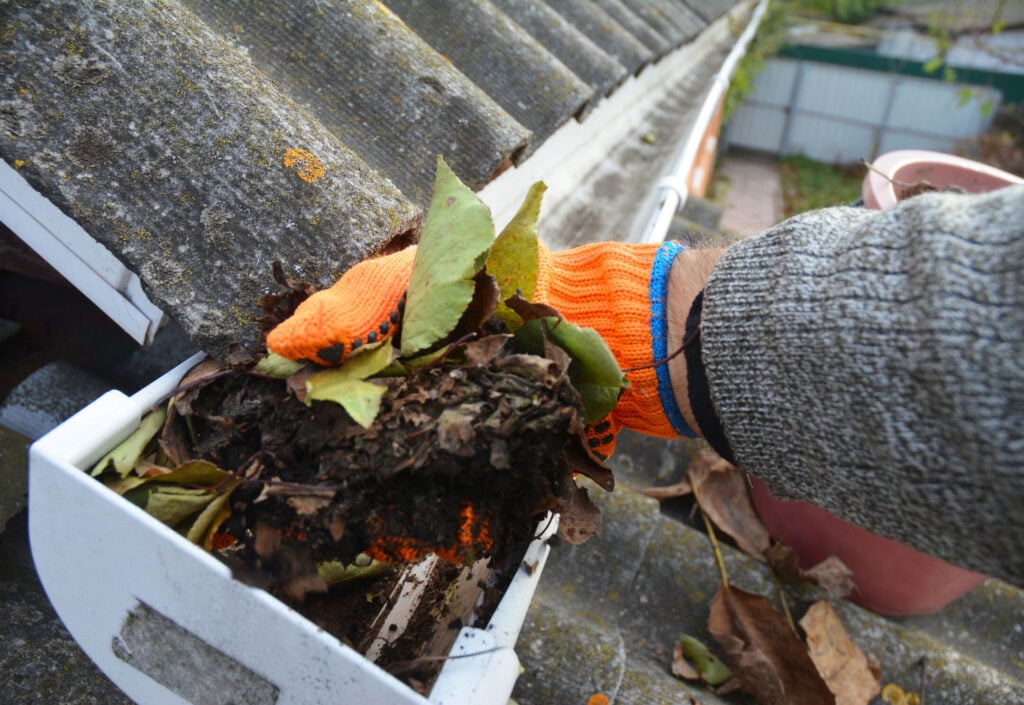 A man is cleaning a clogged roof gutter from dirt, debris and fallen leaves