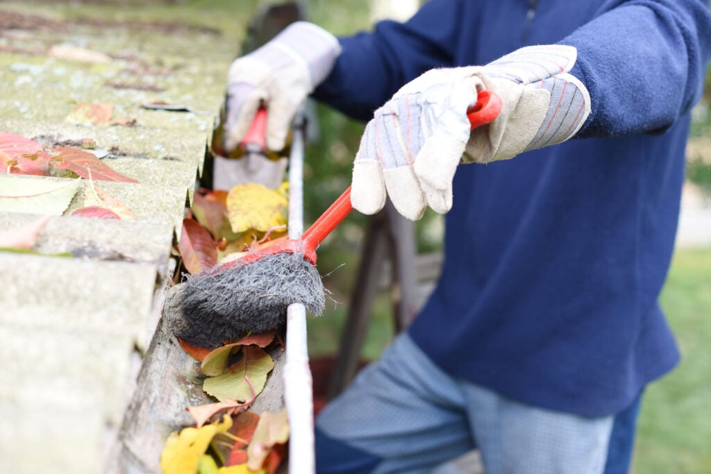 Leaves in eaves. cleaning gutter blocked with autumn leaves